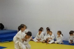 judo-3